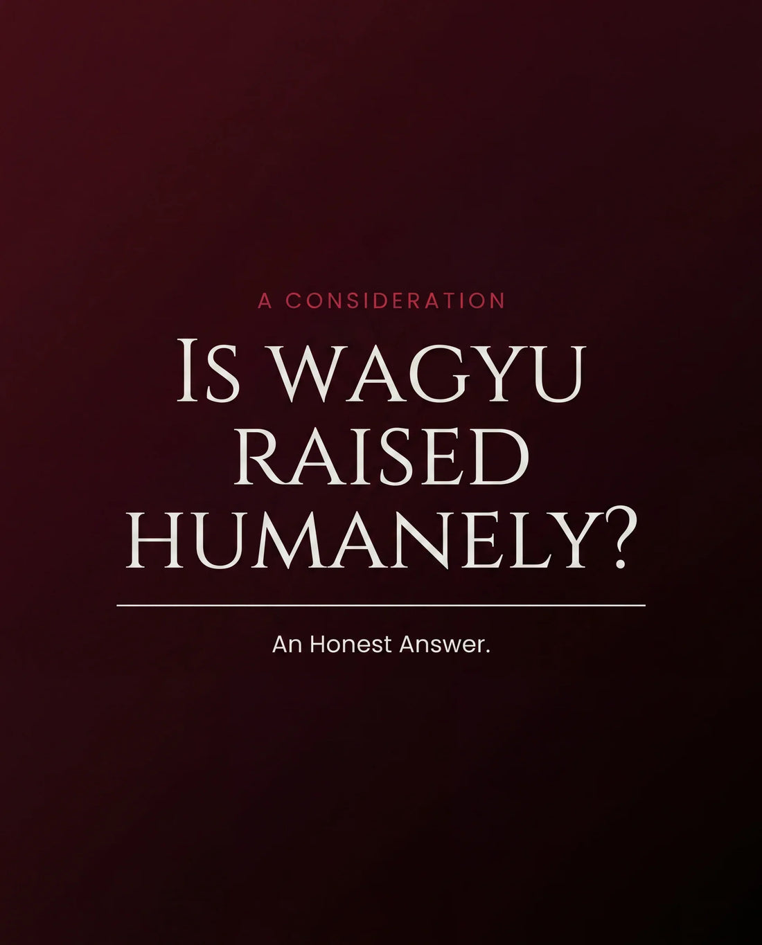 Typographic cover reading "Is Wagyu Raised Humanely?" on a dark burgundy-to-black gradient.
