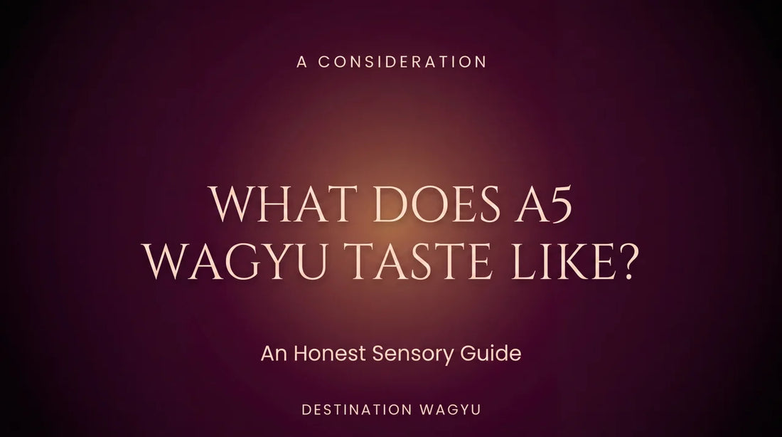 Editorial cover for "What Does A5 Wagyu Taste Like?" sensory guide