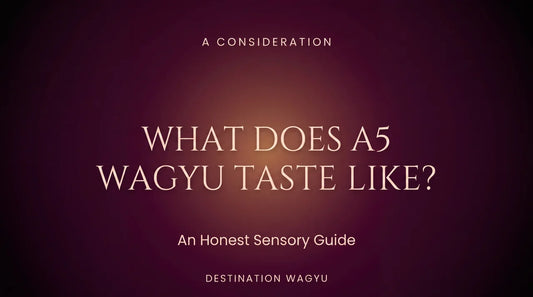 Editorial cover for "What Does A5 Wagyu Taste Like?" sensory guide