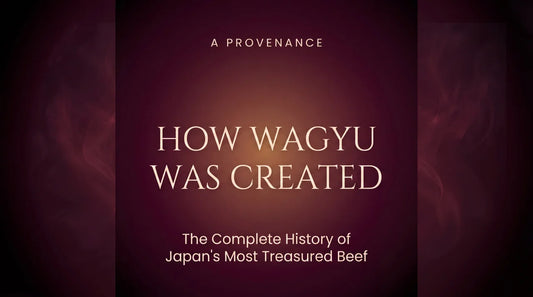 a cover photo for blog regarding how wagyu was created 