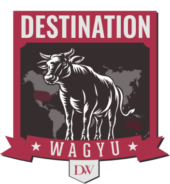 Premium Wagyu beef delivered to your door – Destination Wagyu