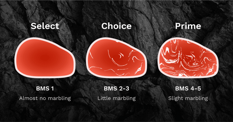 What is Beef Marbling Score (BMS) – Destination Wagyu