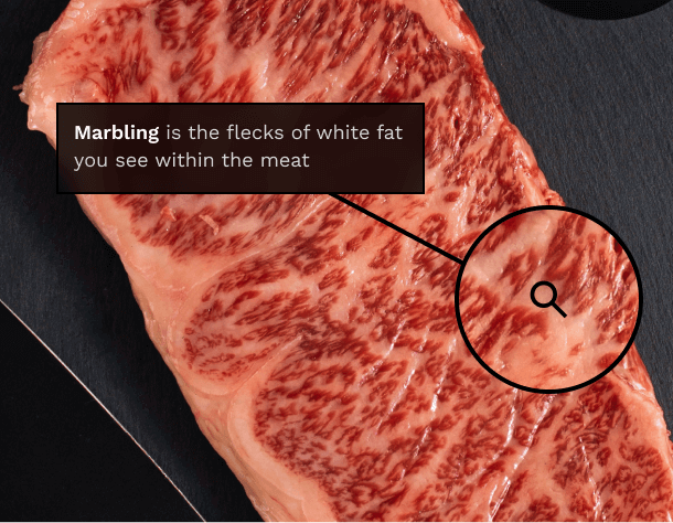 Marbling flecks of white fat